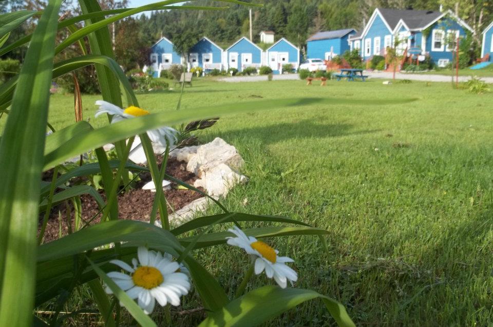 Motel Le Repos Perce Exterior photo